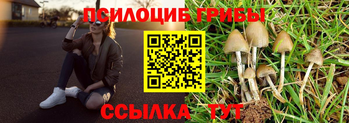 как найти наркотики  Вход с VPN  Долгопрудный  Галлюциногенные грибы ЛСД 