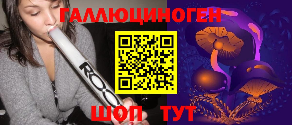 Галлюциногенные грибы Psilocybine cubensis Долгопрудный